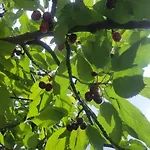 La Terrazza Dei Moi, Relax Nel 度假居 Villatella