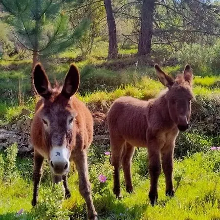 La Terrazza Dei Moi, Relax Nel Villatella