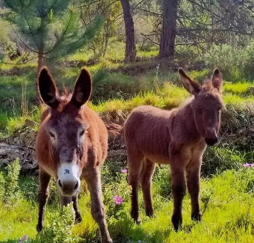 La Terrazza Dei Moi, Relax Nel Villatella
