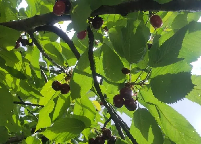 La Terrazza Dei Moi, Relax Nel Dom wakacyjny Villatella